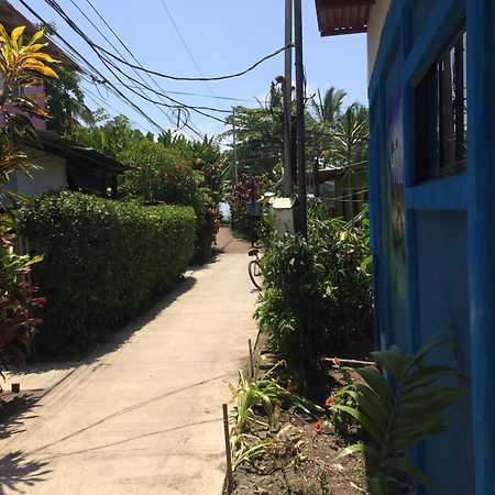 Green Macaw Hostel Tortuguero Exterior photo