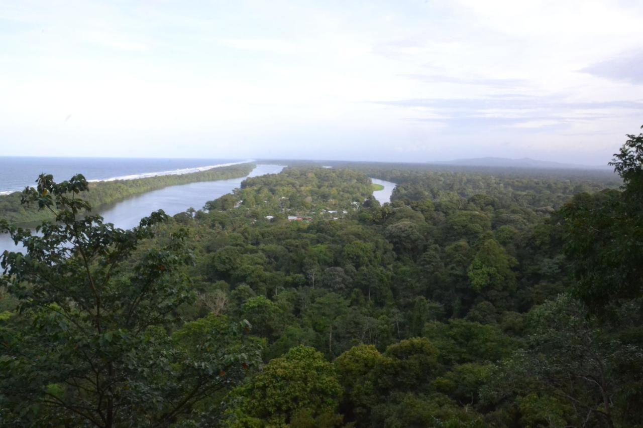 Green Macaw Hostel Tortuguero Exterior photo