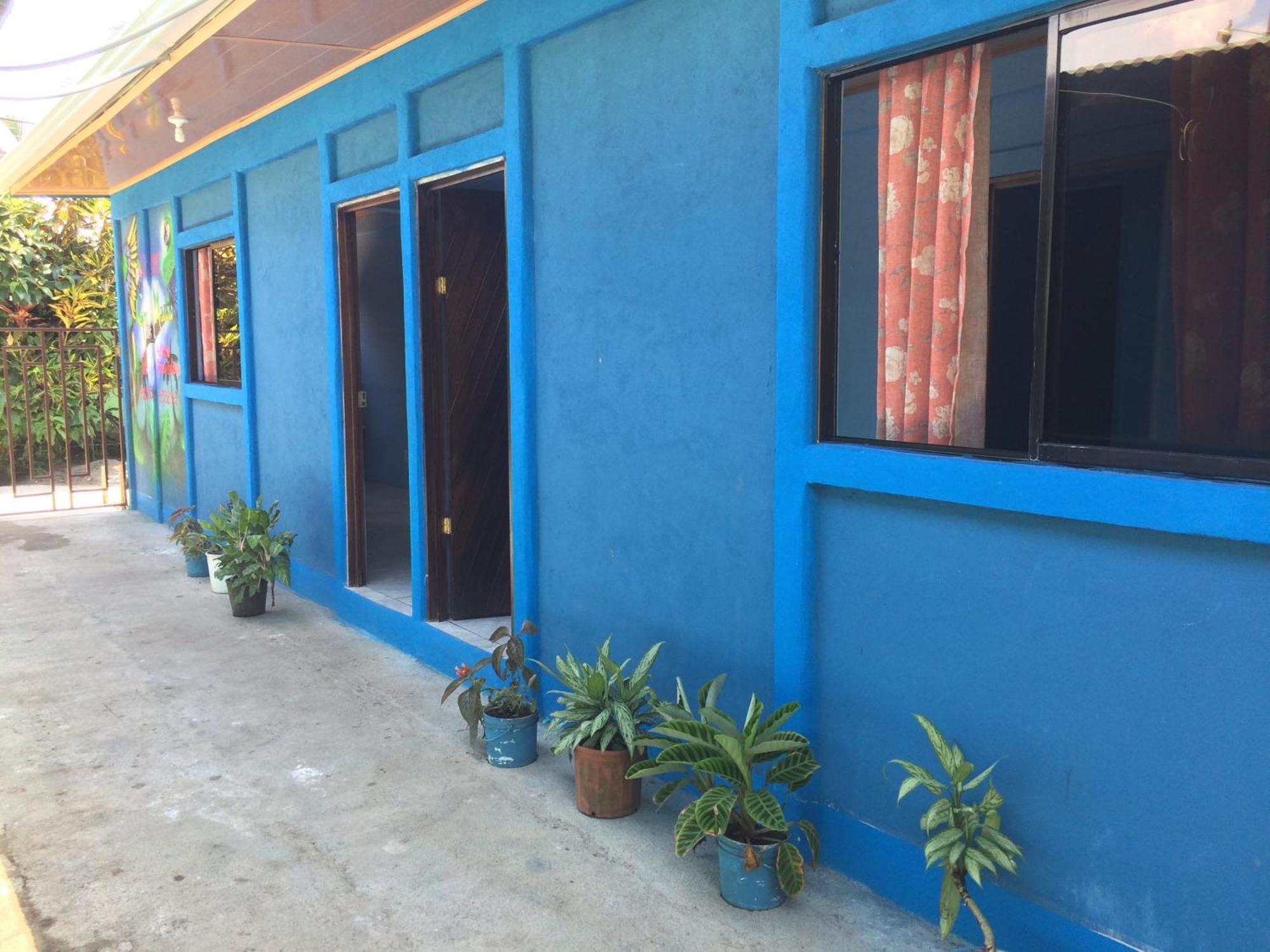 Green Macaw Hostel Tortuguero Exterior photo