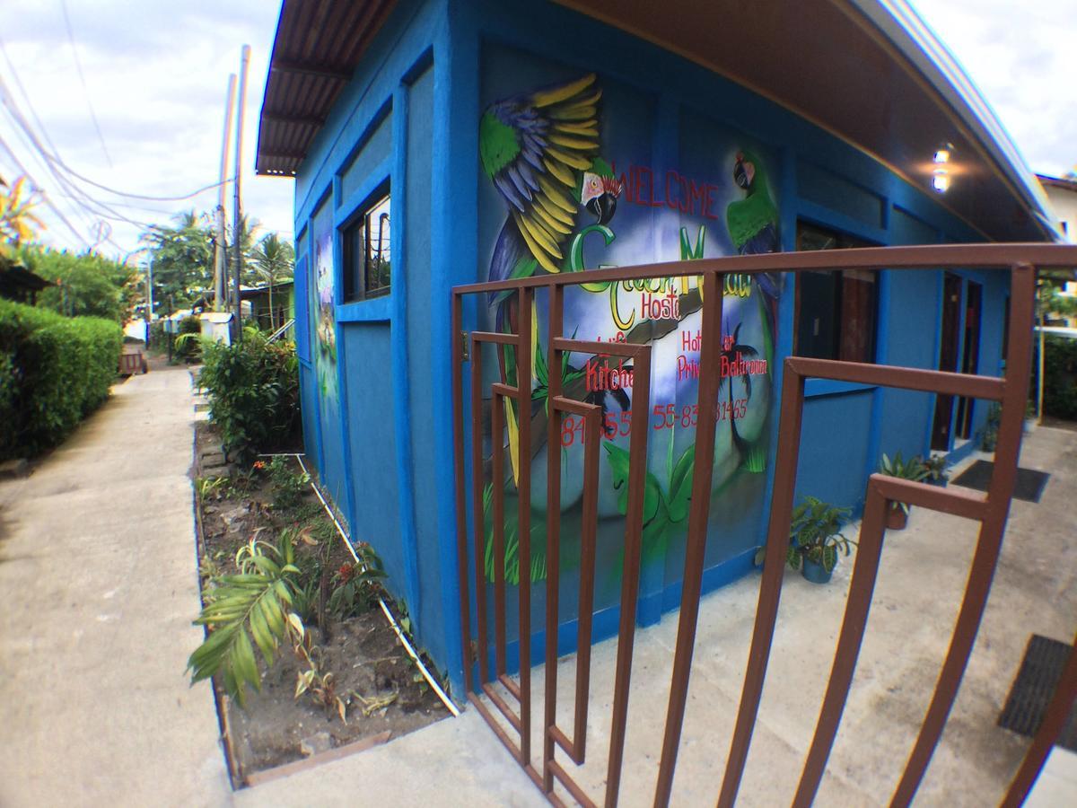 Green Macaw Hostel Tortuguero Exterior photo