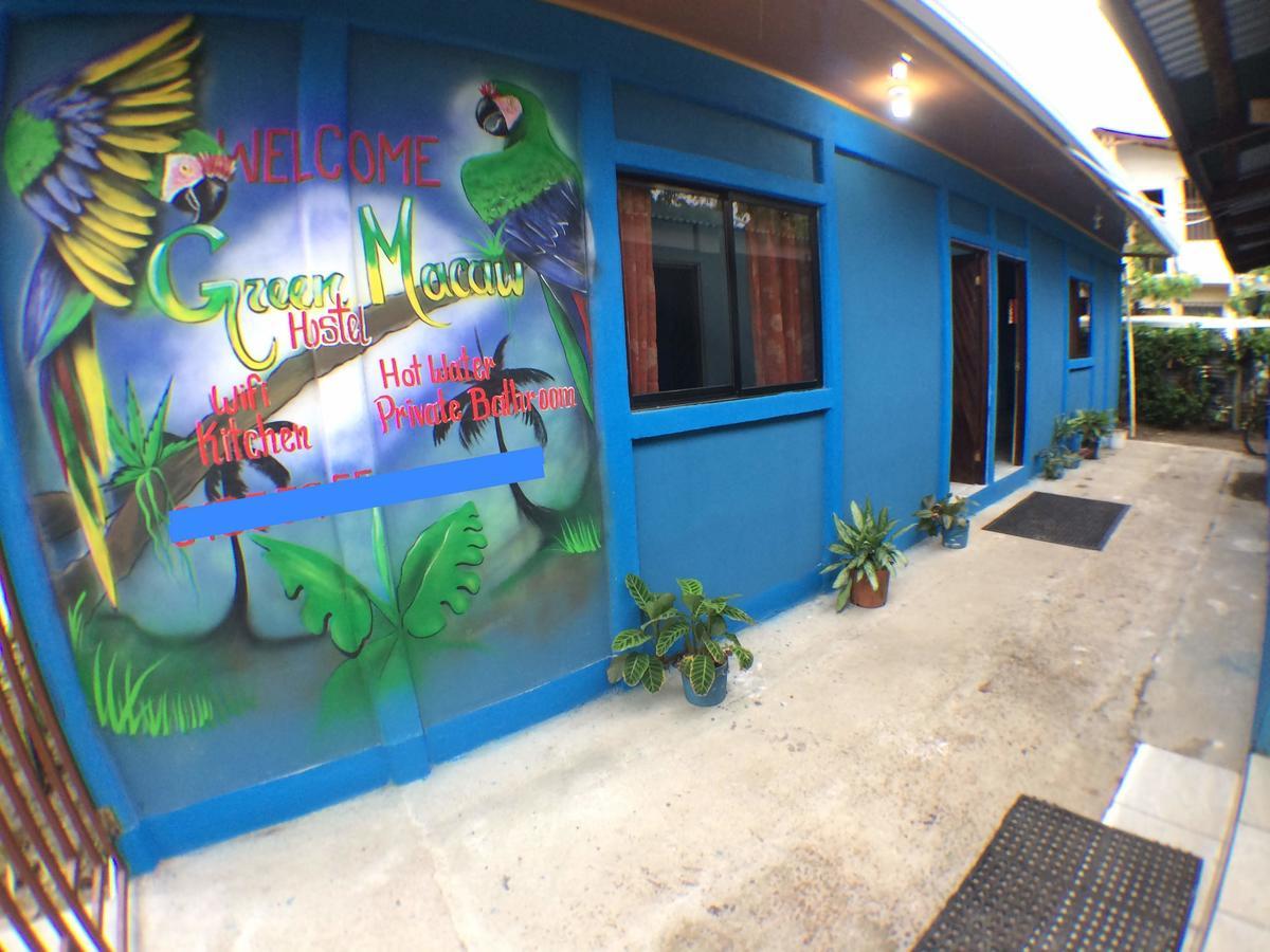 Green Macaw Hostel Tortuguero Exterior photo