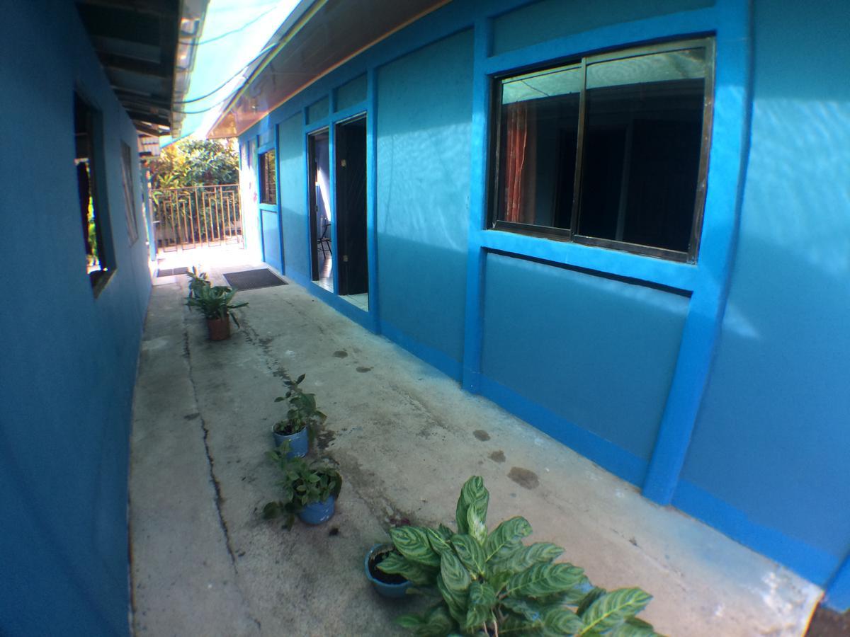 Green Macaw Hostel Tortuguero Exterior photo