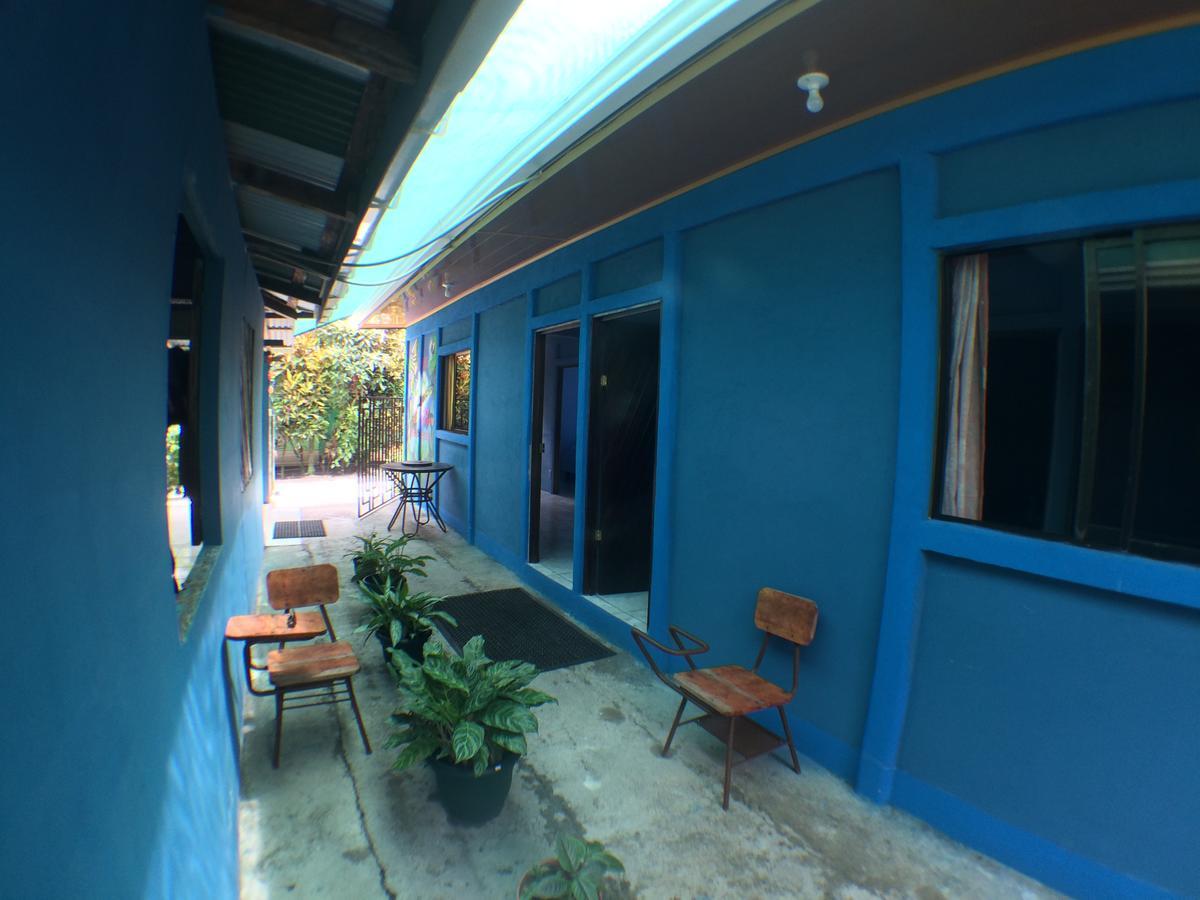 Green Macaw Hostel Tortuguero Exterior photo