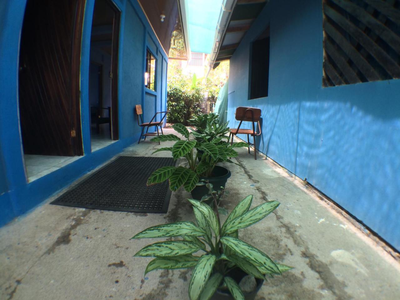 Green Macaw Hostel Tortuguero Exterior photo