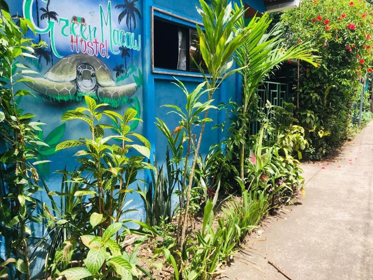 Green Macaw Hostel Tortuguero Exterior photo